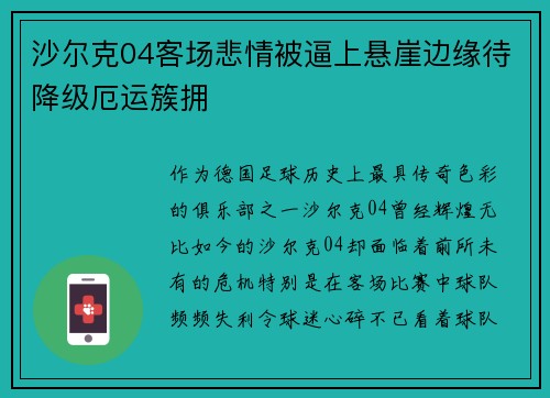 沙尔克04客场悲情被逼上悬崖边缘待降级厄运簇拥