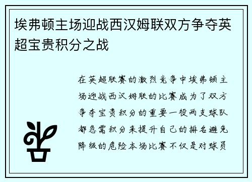 埃弗顿主场迎战西汉姆联双方争夺英超宝贵积分之战